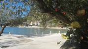 dokumenty/360/11035.jpg