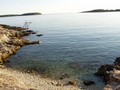 dokumenty/480/P1010188.jpg